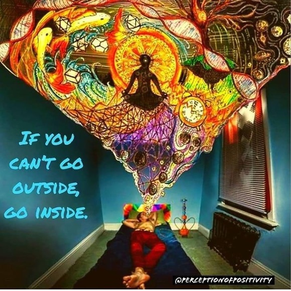 Meet your Posher, JJ - Picture 5 of 12